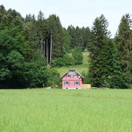 Erwins Ferien-Paradies Hörbranz المظهر الخارجي الصورة
